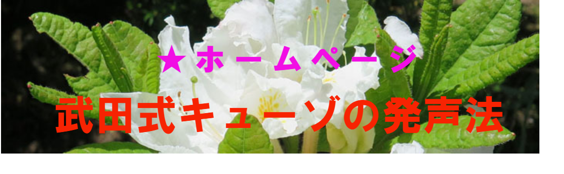 リンク、ロゴマーク