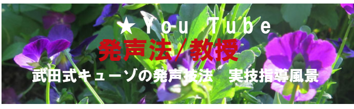 リンクロゴ、写真